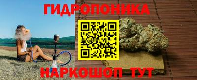 МДПВ Волжск