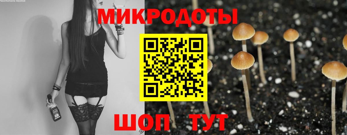 Дедовск  Псилоцибиновые грибы мухоморы  Вход с VPN  Галлюциногенные грибы GOLDEN TEACHER 
